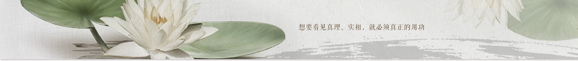 2016年9月24日—10月7日正念动中禅禅修报道（湖北鄂州普度寺）